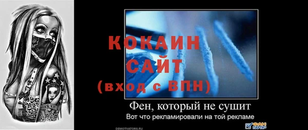 гидра Арсеньев