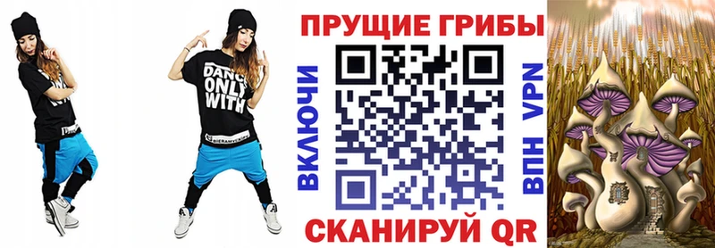 где купить наркотик  omg рабочий сайт  Галлюциногенные грибы Magic Shrooms  Губкинский 